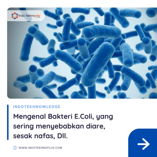 Apa Itu Bakteri Ecoli Dan Apa Saja Infeksi Yang Ditimbulkan Oleh